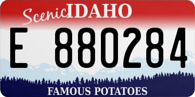 ID license plate E880284