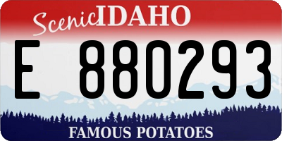 ID license plate E880293