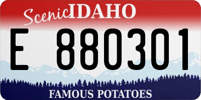 ID license plate E880301