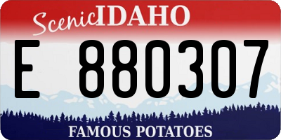 ID license plate E880307