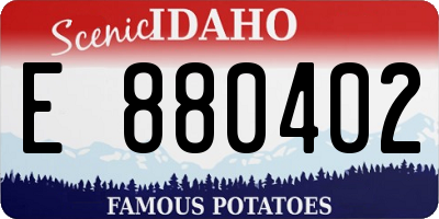 ID license plate E880402