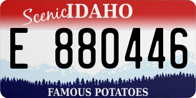 ID license plate E880446