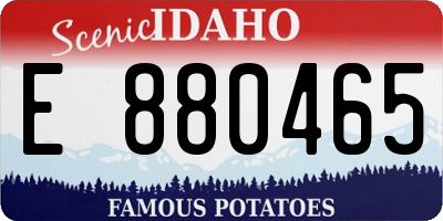 ID license plate E880465