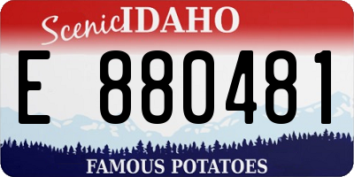 ID license plate E880481
