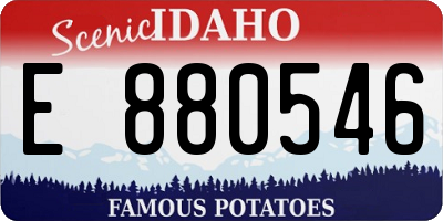 ID license plate E880546