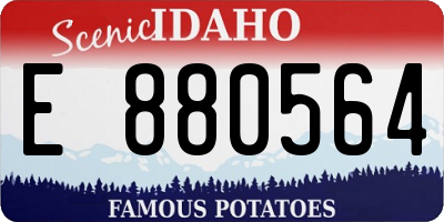 ID license plate E880564
