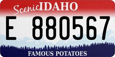 ID license plate E880567