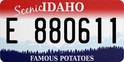 ID license plate E880611