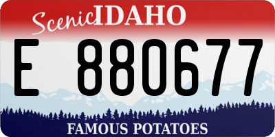 ID license plate E880677