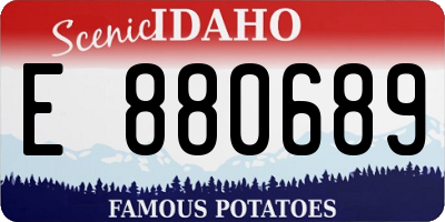 ID license plate E880689