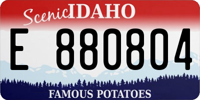 ID license plate E880804