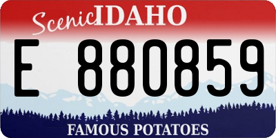 ID license plate E880859