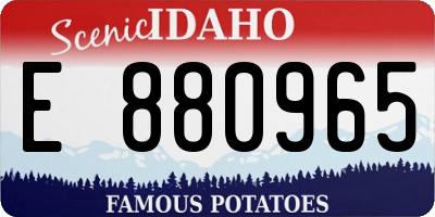 ID license plate E880965