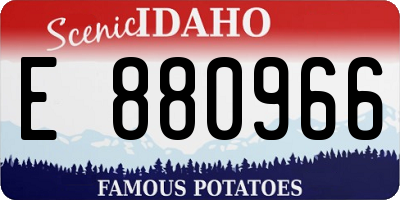 ID license plate E880966