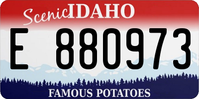 ID license plate E880973