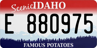 ID license plate E880975