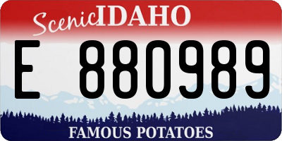 ID license plate E880989