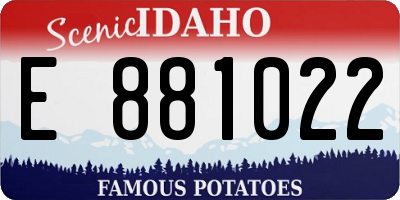 ID license plate E881022