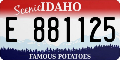 ID license plate E881125