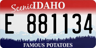 ID license plate E881134