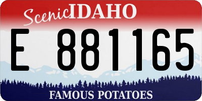 ID license plate E881165