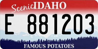 ID license plate E881203