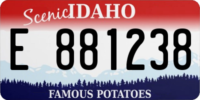 ID license plate E881238