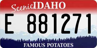 ID license plate E881271