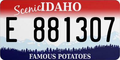 ID license plate E881307