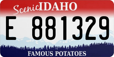 ID license plate E881329