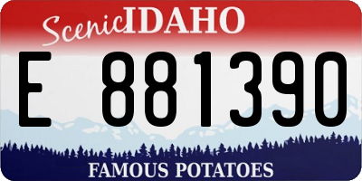 ID license plate E881390