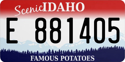 ID license plate E881405
