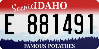 ID license plate E881491