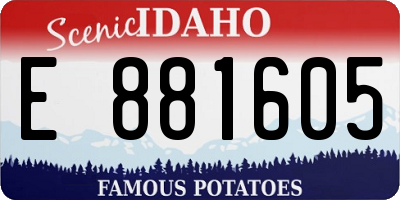 ID license plate E881605