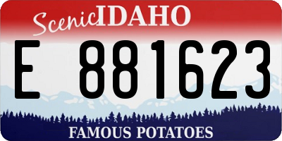 ID license plate E881623
