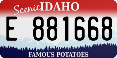 ID license plate E881668