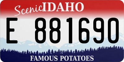 ID license plate E881690