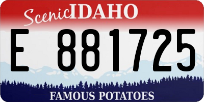 ID license plate E881725
