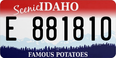 ID license plate E881810