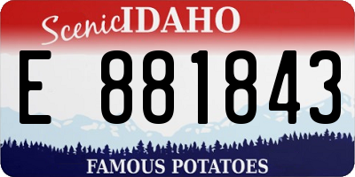 ID license plate E881843