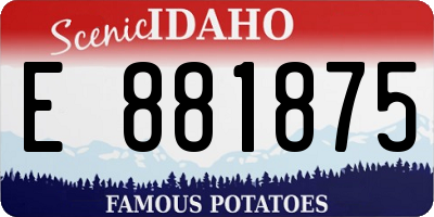 ID license plate E881875