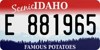 ID license plate E881965