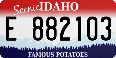 ID license plate E882103