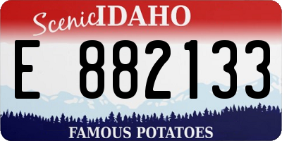 ID license plate E882133