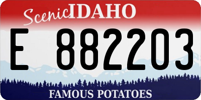ID license plate E882203