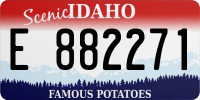ID license plate E882271
