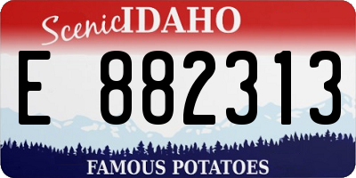 ID license plate E882313