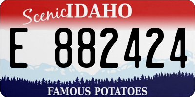 ID license plate E882424