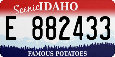 ID license plate E882433