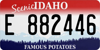 ID license plate E882446